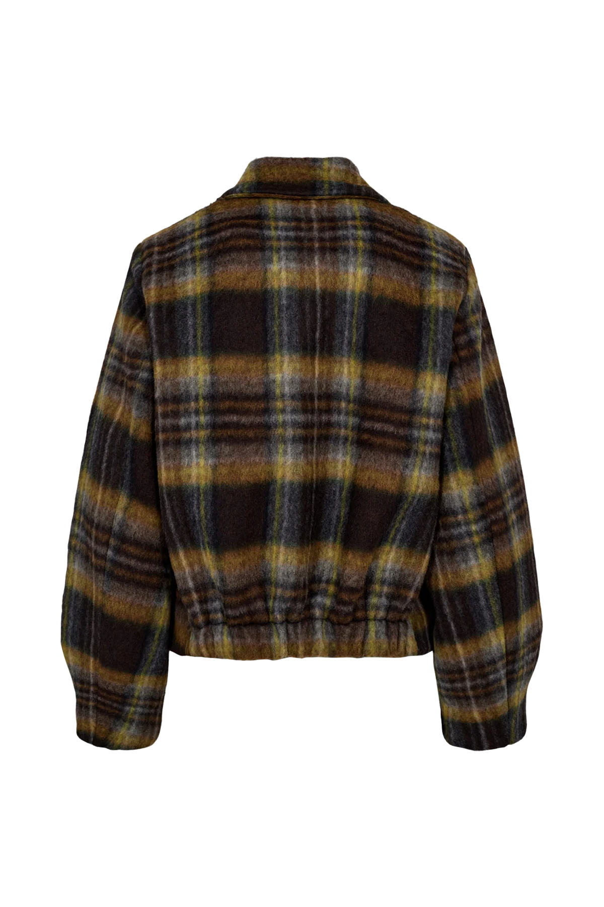 Nujenta Jacket, Dachshund