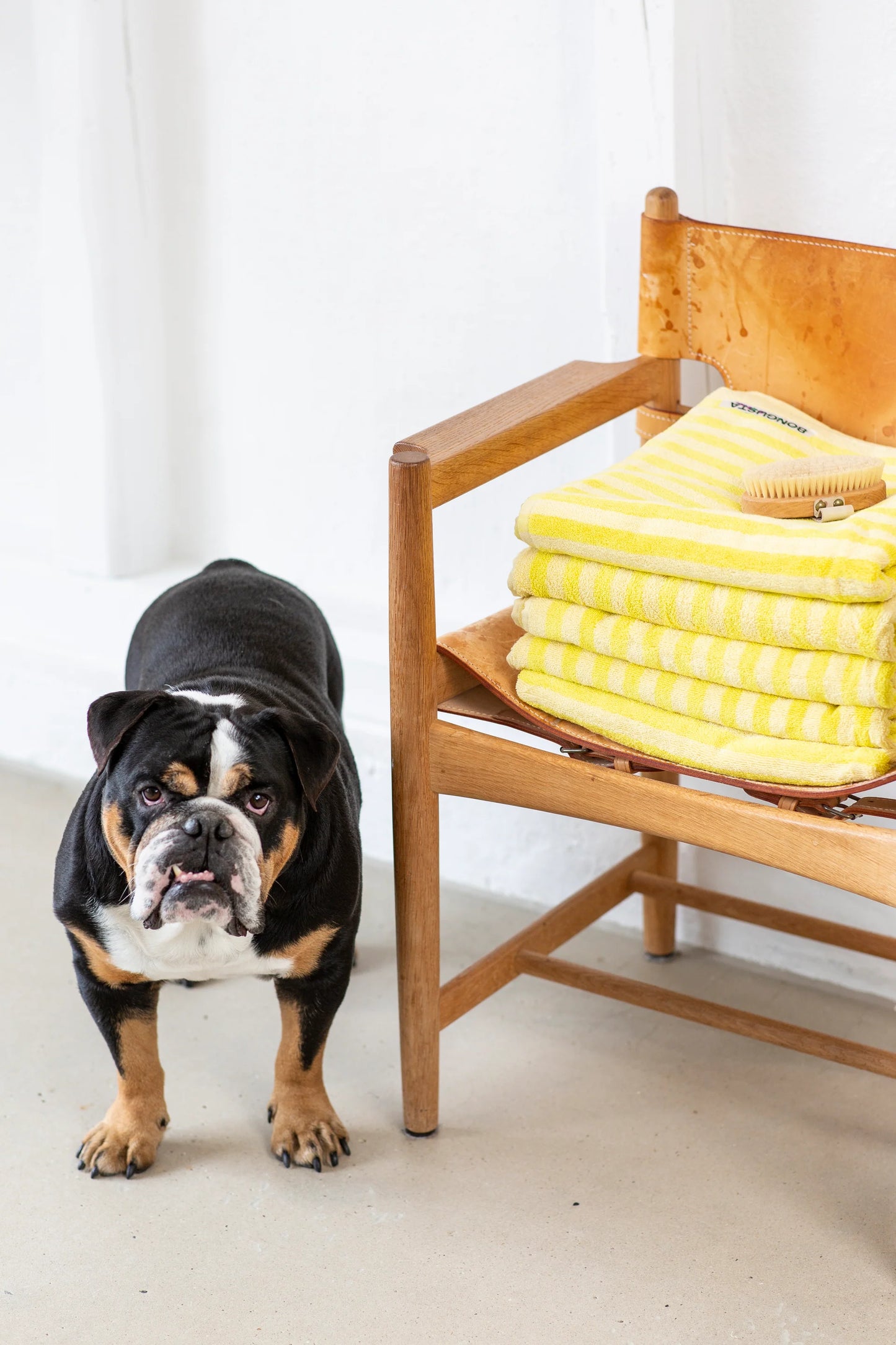 Naram Bath Towel, Pristine & Neon Yellow