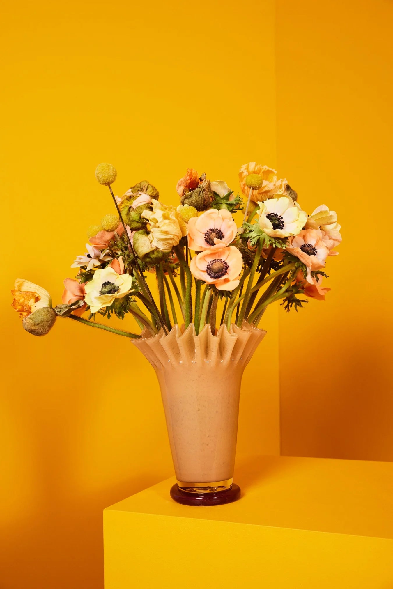 Vas Lori M, Gul/Bordeaux