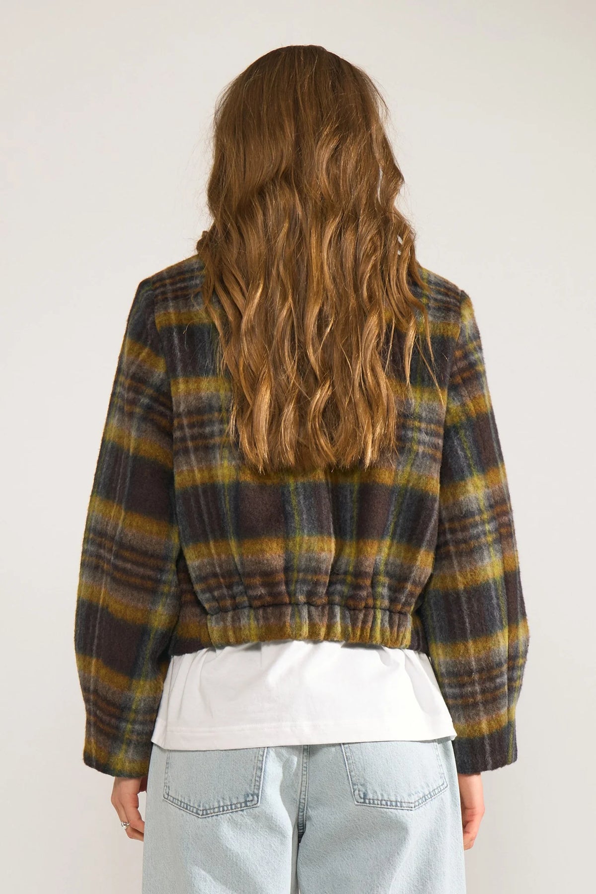 Nujenta Jacket, Dachshund
