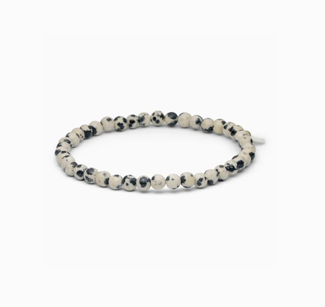 Petite Bracelet Dalmatian, Soï, Såininorden
