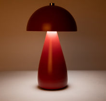 Ladda upp bild till gallerivisning, Lampa Uppladdningsbar, Red
